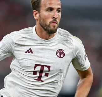 内容日历 内容日历